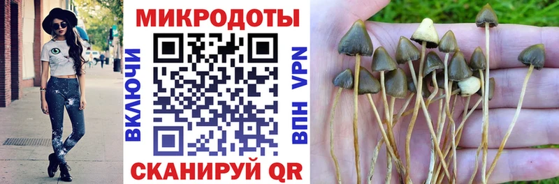 Псилоцибиновые грибы ЛСД  Купить закладки  Усть-Лабинск 