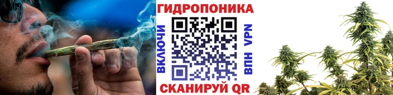 Купить закладки  Усть-Лабинск  Бошки марихуана White Widow 